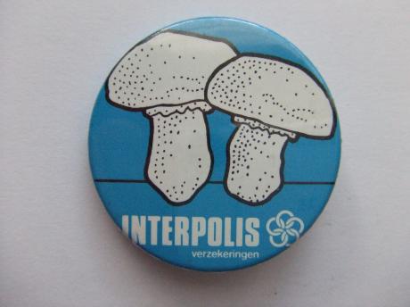 Interpolis verzekering